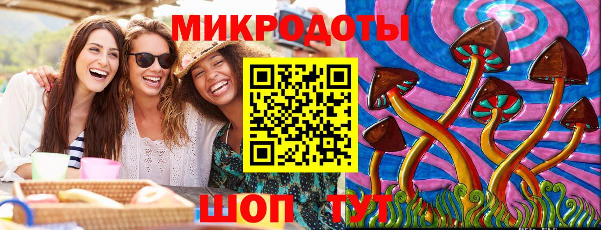 Галлюциногенные грибы Psilocybe Коломна